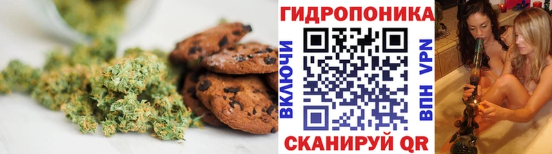 кракен ссылки  купить закладку  Аша  Еда ТГК конопля 