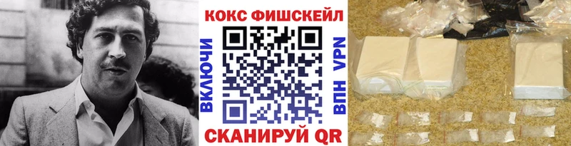 Cocaine Fish Scale цена наркотик Аша