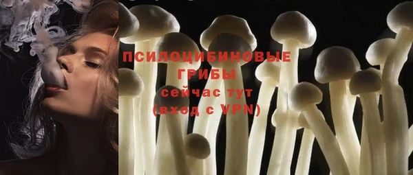 винт Пересвет