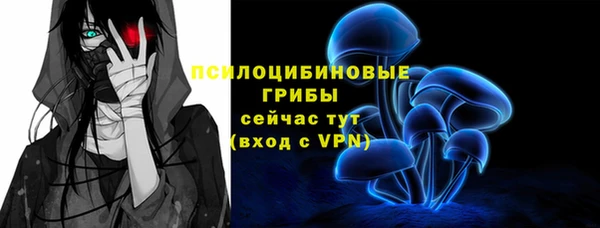 винт Пересвет