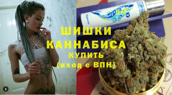 скорость Пестово