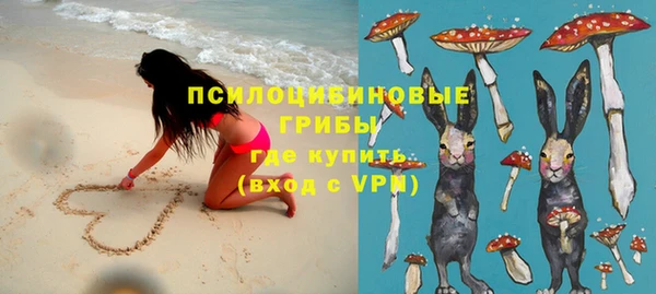 скорость Пестово
