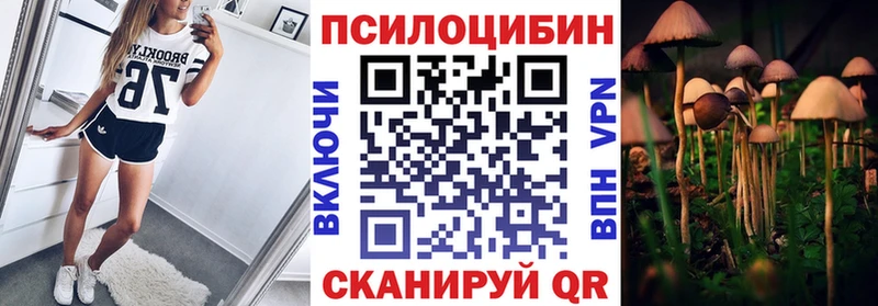 цена наркотик Аша Галлюциногенные грибы Psilocybe