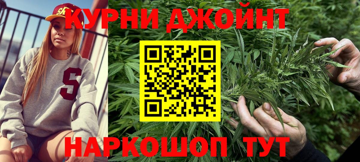 Каннабис гибрид  Аша  Конопля планчик 